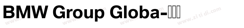 BMW Group Globa字体转换 BMW Group Globa字体转换